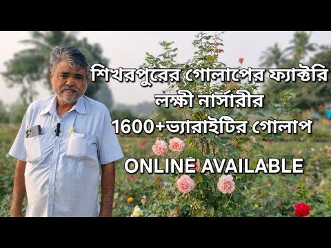 গোলাপের ফ্যাক্টরি শিখরপুরের লক্ষী নার্সারীর 1600+ ভ্যারাইটির গোলাপ|Lakshmi Nursery Rose Varieties|