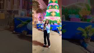 #christmas #chritmastree #christamastree #christmasposter #reels #trendingsong