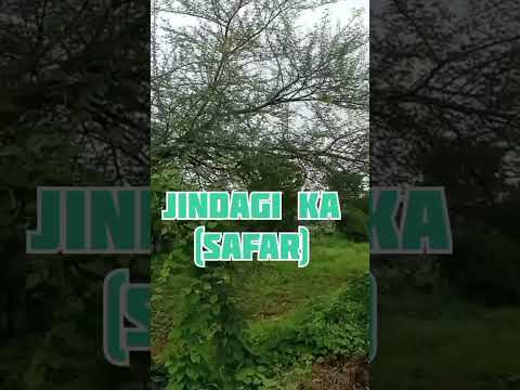 Jindagi Ka Hai yah Kaisa Safar || Koi Samjha Nahin Sakta|| Bal Yogi Balram sen||