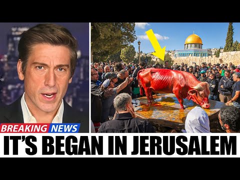 Jerusalem Prepares For Jesus To Return! God's Power Revealed...