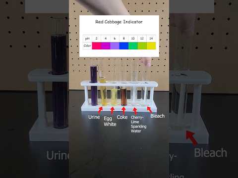 Test your PH knowledge! #shorts