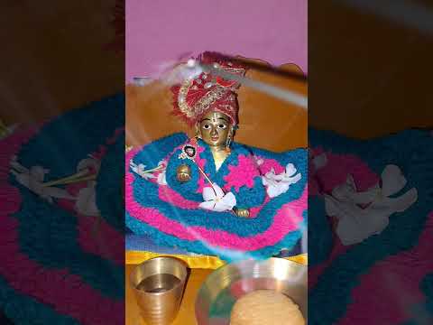 Laddu Gopal 🌸🙏🏻 #krishna #yputubeshorts #laddugopal