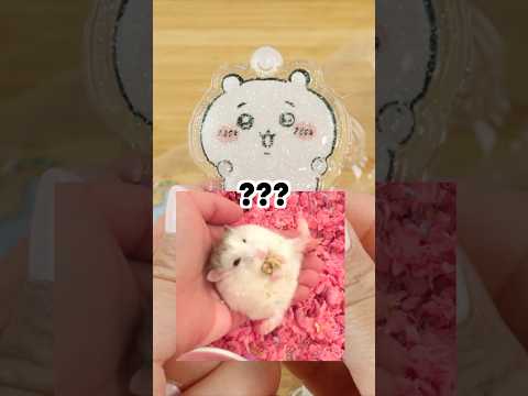 Chiikawa lore that will blow your mind 🥹 #chiikawa #cute #usagi #kawaii #japan #diy #craft #squishy