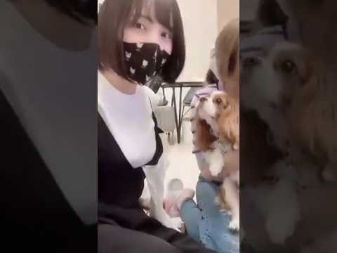 犬と戯れる佐倉綾音さん