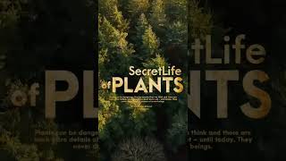 Secret life of plants.