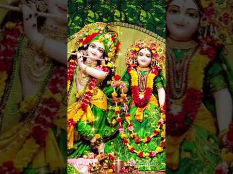 #radhe krishna #radhe radhe #jai shree radhe🌹🚩🙏👏🔱📿🔔❤