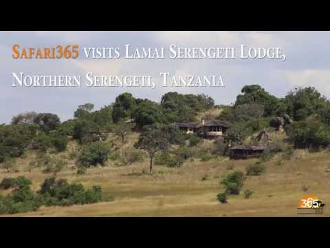 Lamai Serengeti Lodge, Tanzania | Safari365