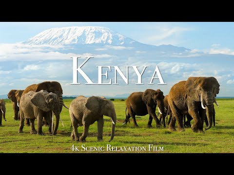 Kenya & Masai Mara 4K - Scenic Wildlife Film With African Music