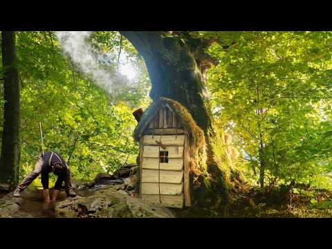 Building a Hidden, Warm Shelter in a BIG Tree. Survival and Fishing