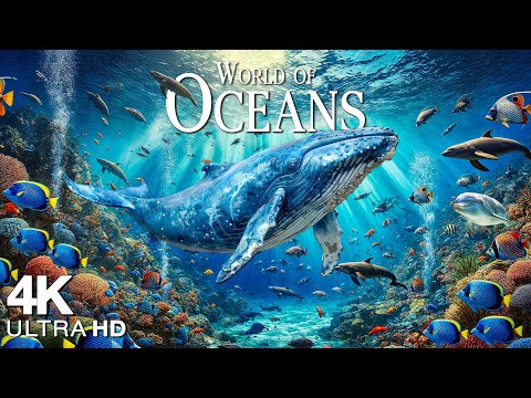 Ocean Animals 4K UHD - Scenic Wildlife Film With Calming Music - 4K Video Ultra HD