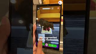 Experience the Future of Learning with LibXR's 3D AR Flashcards! 🐻📚✨ #augmentedreality