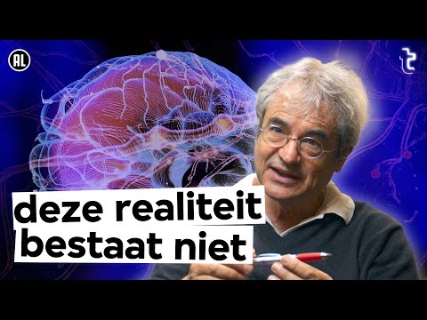 Waarom dé werkelijkheid niet bestaat volgens Carlo Rovelli | VPRO Tegenlicht