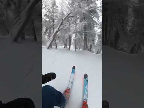 Skiing through the trees of Sasquatch in Burke, VT #skiing #glades #shorts