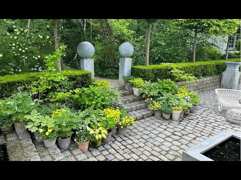 The Sunken Garden - foliage plants in containers