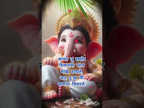 |गणपती बाप्पा मोरया|#bappamorya #ganparibappa