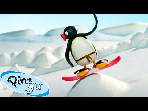 Robby Surfing the Snow! 🐧 | Pingu - Official Channel | Cartoons For Kids