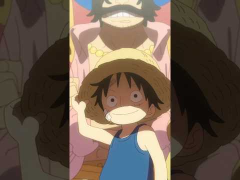 The parents of the Mugiwara | One Piece #onepiece #mugiwara #strawhats #luffy