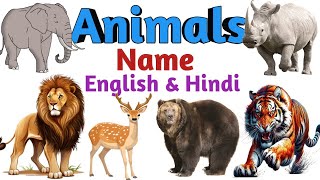 Animals Vocabulary ll Animals Name In English #TM Kids Zone