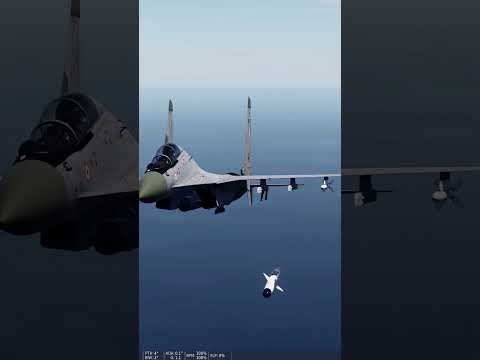 Su30_MKI  BrahMos  Anti-ship missile　 #dcs