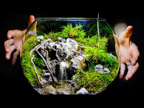 Mini Tiered Pooling Ponds Recirculating Moss Bog Bowl