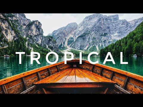 Tropical Vlog Background Music No Copyright