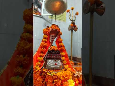 Mahadev ka Aashirwad aap sabhi per banaa rahe ❤️🙏🏻🙏🏻🚩🚩❤️❤️