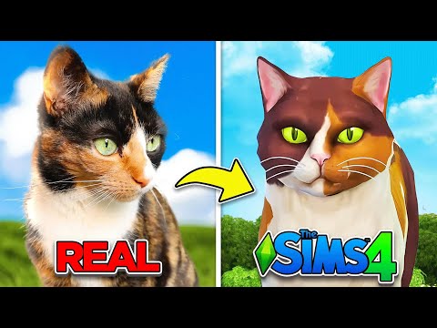 I Created My Cat Roxie in the Sims 4!