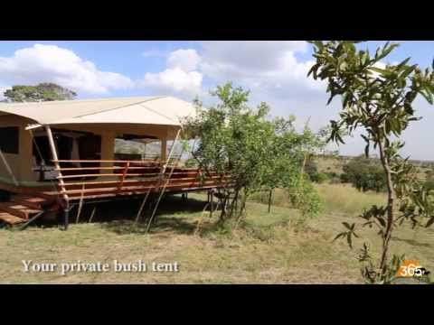 Serengeti Bushtops, Tanzania | Safari365