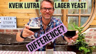 Can you make lagers with Kveik Lutra vs a lager strain? Beer eksperiment with NovaLager vs Lutra