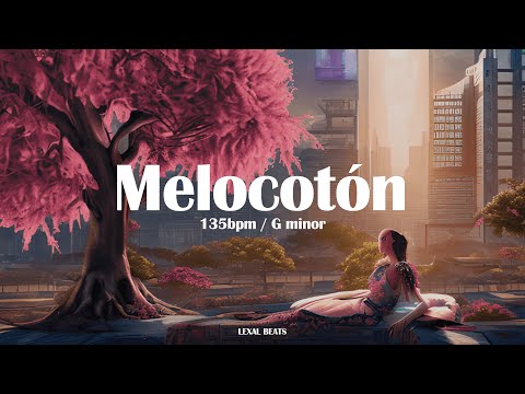 "Melocotón" - Afro & Latino Type Beat - Instrumental Twerk | Lexal Beats