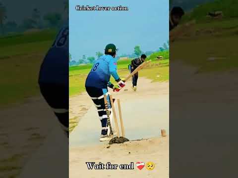 #cricket #cricketlover #viralreels #siraj #viratkohli #short #shorts