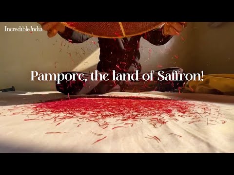 Pampore, the land of Saffron | Jammu and Kashmir