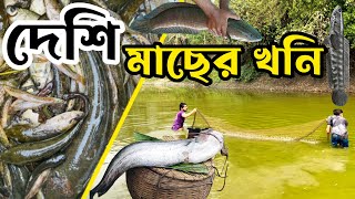 গ্রামের পুকুর গুলোতে এখনো বিভিন্ন রকমের দেশি মাছ পাওয়া যায় ।Raaz Agro