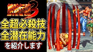 【餓狼3】全超必殺技を紹介！【格ゲー解説】