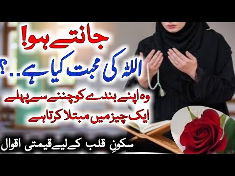 Jab allah kse sy muhabbat karta hai | allah ki muhabbat | islamic motivational video