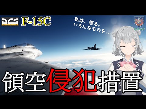 【DCSマルチ】ちょっとリアルなスクランブル訓練！