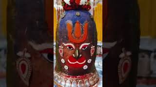 shri mahakaal video #shri_mahakaleshwar_jyotirlinga_ujjain #श्री_महाकालेश्वर_ज्योतिर्लिंग_उज्जैन