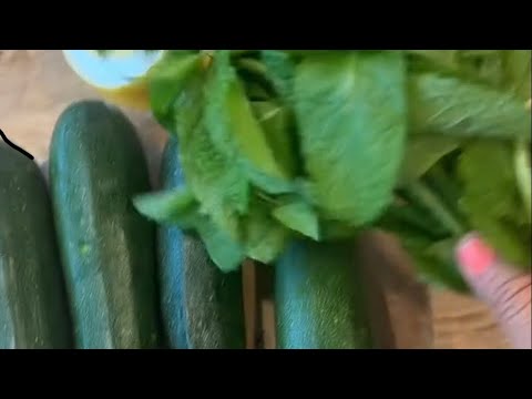 Zucchini and Mint