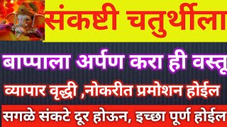 संकष्टी चतुर्थीला बापाला अर्पण करा ही वस्तू व्यापार वृद्धी नोकरीत प्रमोशन होईल सगळे संकटे दूर होईल.