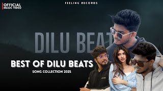 DILU BEATS BEST SINHALA SONG COLLECTION | DILU Beats New Song | 2025