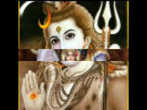 Hindi WhatsApp status of mhakal coller tine shivsanker bhole Babashivsamvhu special presence of PDT