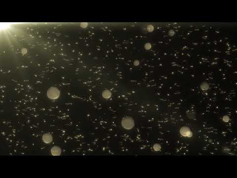 Glowing Golden Dust Particles Background Looped Animation | Free HD Version Footage