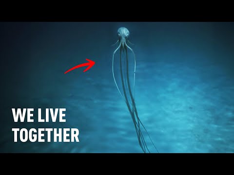 Aliens Hidden Beneath the Sea? Scientists Speaks!