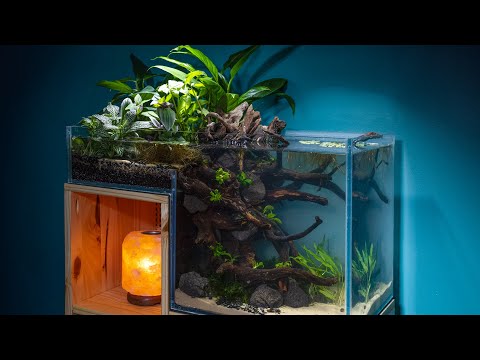 No-Filter DIY Dropoff Bog Nano Fish Tank