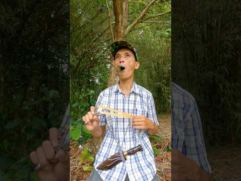 Forest Survival: Camouflaging with Bird Sounds #entertainment #birdsounds #shorts #camping #survival