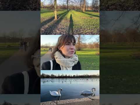 Solo date London #kensingtongardens #selfcareideas #londonlife