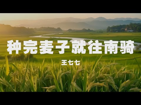 王七七 - 種完麥子就往南騎 ◖可她毅然啟程給過去的她，遲到的擁抱◗ [Official Lyric Video] 官方動態歌詞版