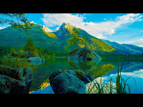 Beautiful Lake in Nature (No Sound) - 4K UHD