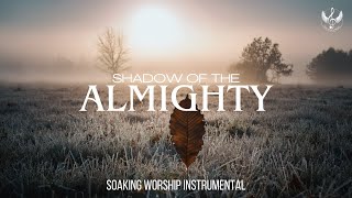 Shadow Of The Almighty - Soaking Worship Instrumental | Prayer and Devotional