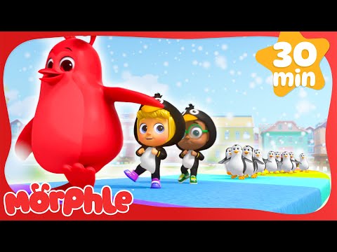 Follow The Penguin Pack 🐧 Mila and Morphle Cartoons | Stories for Kids | Toddler Learning